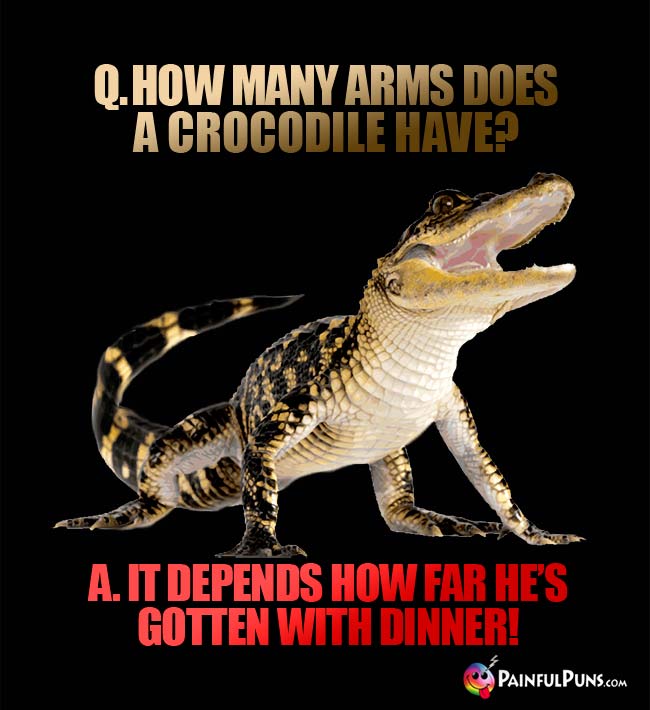Q. How many arms does a crocodile have? A. It depends how far he's gotten with dinner!