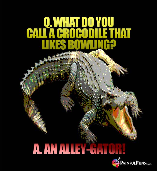 Q. What do you call a crocodile that likes bowling? a. An Alley-Gator!