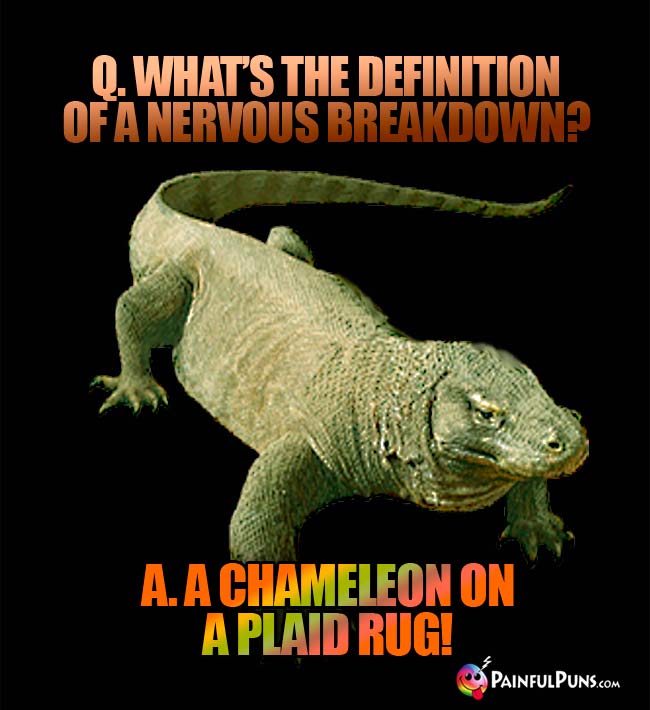 Q. What's the definition of a nervous breakdown? A. A chameleon on a plaid rug!
