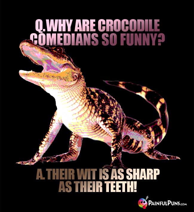 Q. Why are crocodile comedians so funny? A. Their wit is as sharp as their teeth!