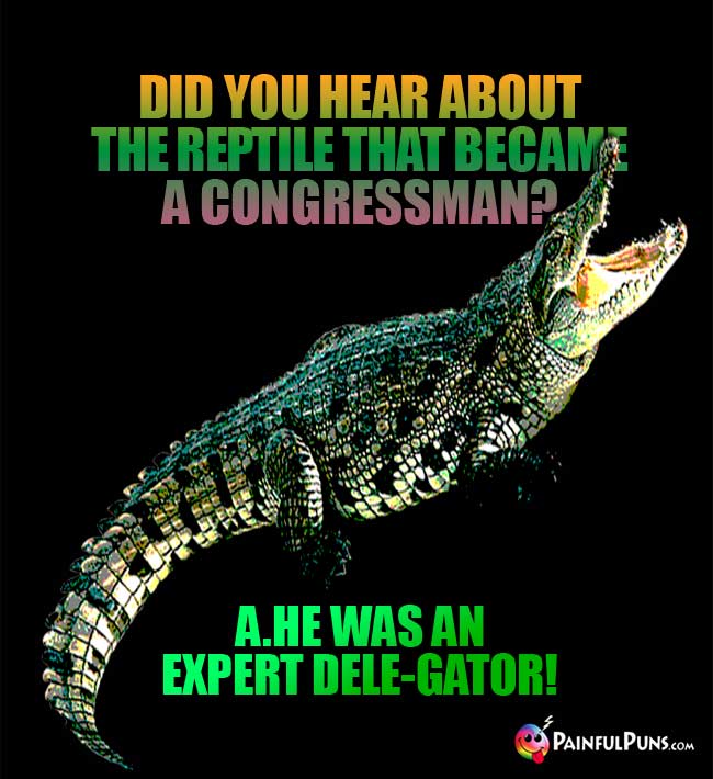 Q. Did you hear about the reptile that became a congressman? A. He was an expert dele-gator!