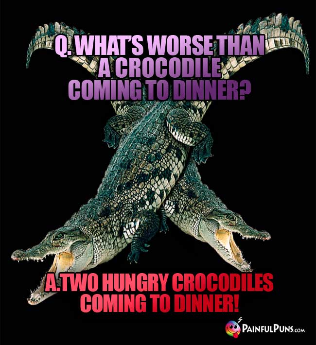 Q. What's worse than a crocodile coming to dinner? A. Two hungry crocodiles coming to dinner!