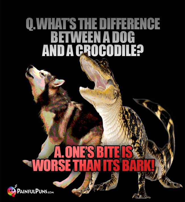Q. What's the difference between a dog and a crocodile? A. One's bite is worse than its bark!