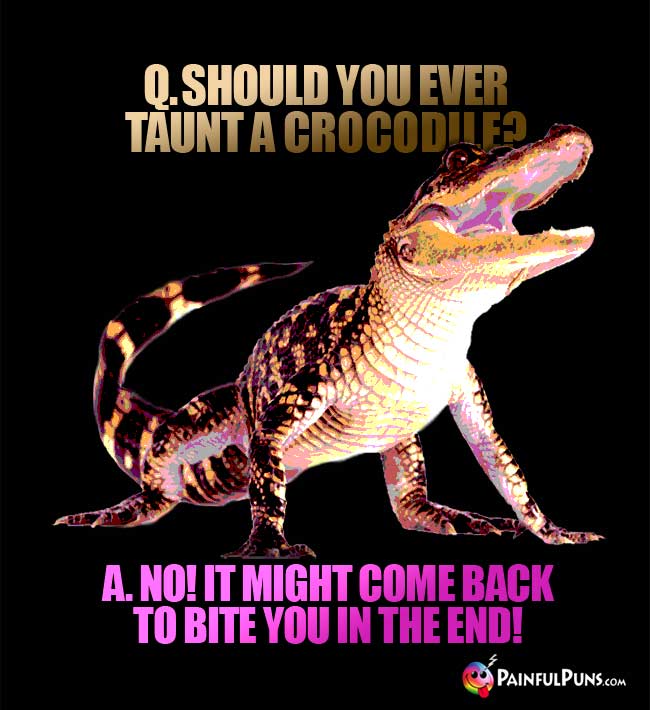 Q. Should you ever taunt a crocodile? A. No! It might come back to bite you in the end!