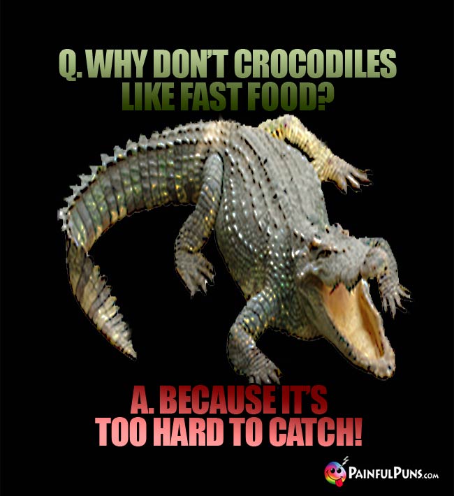 Q. Why don't crocodiles like fast food? A. Because it's too hard to catch!