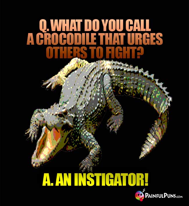 Q. What do you call a crocodile that urges others to fight? A. An instigator!