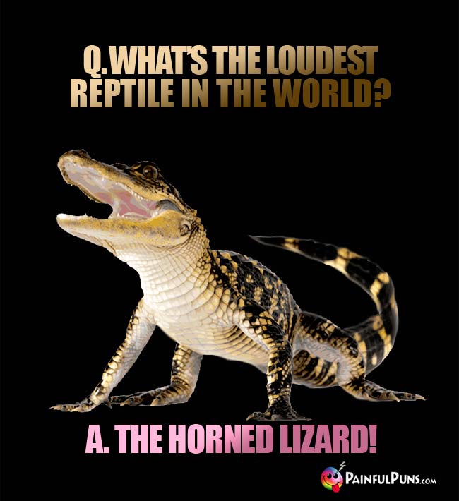 Q. What's the loudest reptile in the world? A.. The Horned Lizard!