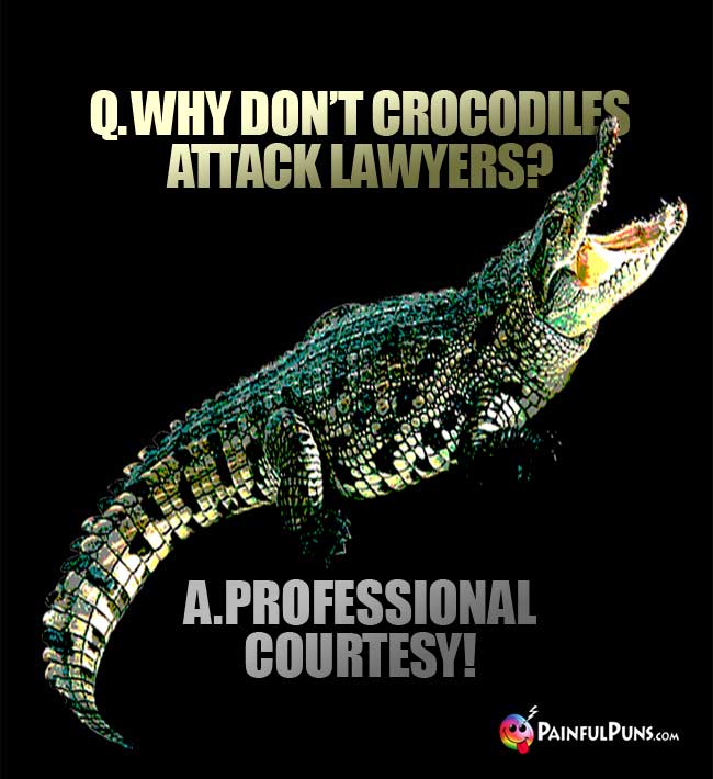 Q. Why don't crocodiles attack lawyers? A. Professional courtesy!