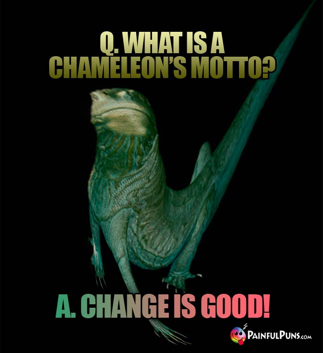 Q. What is a chameleon's motto? A. Change Is Good!