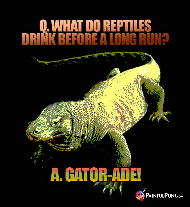 Q. What do reptiles drink before a long run? A. Gator-Ade!