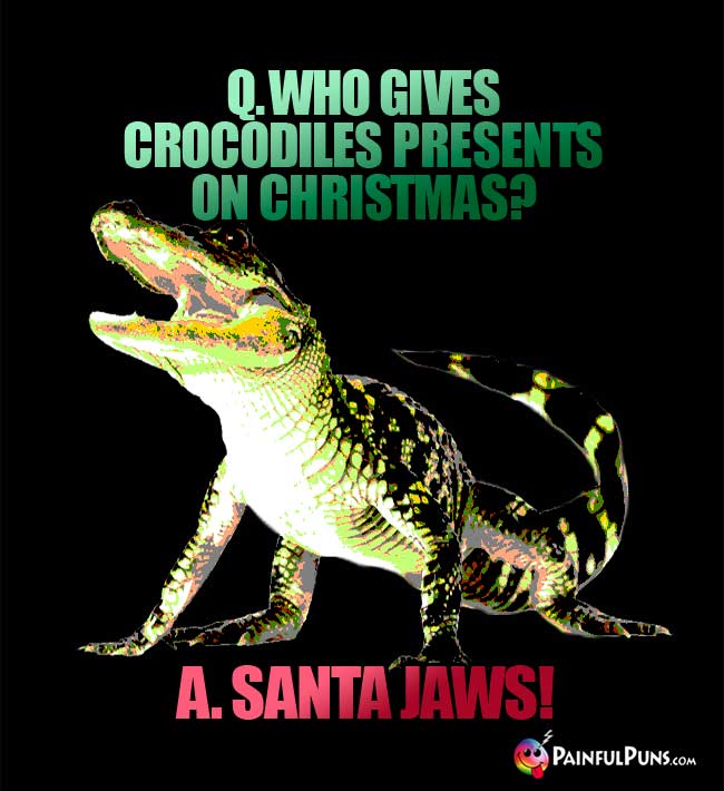 Q. Who gives crocodiles presents on Christmas? A. Santa Jaws!