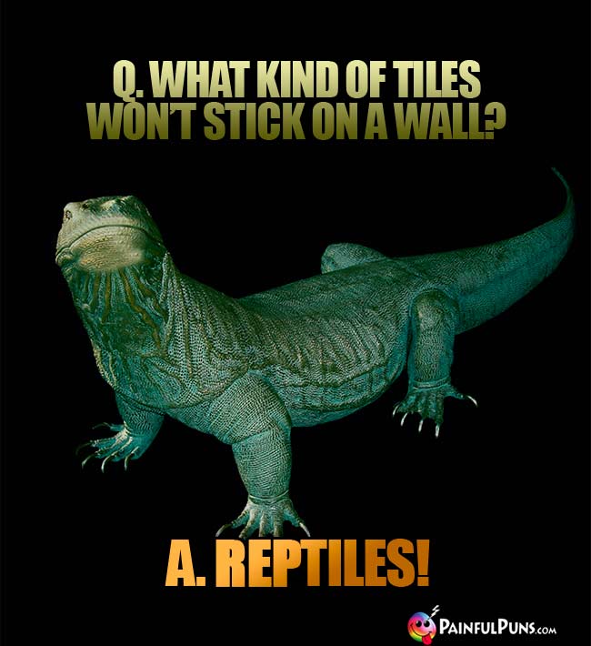 Q. What kind of tiles won't stick on a wall? a. Reptiles!