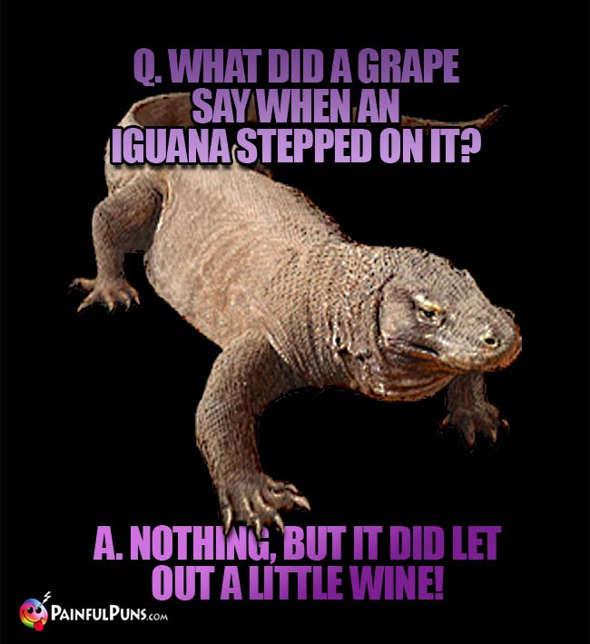 Q. What did a grape say when an iguana stepped on it? A. Nothing, but it did let ut a litte wine!