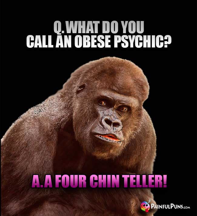 Q. What do you call an obese psychic? A. A four chin teller!