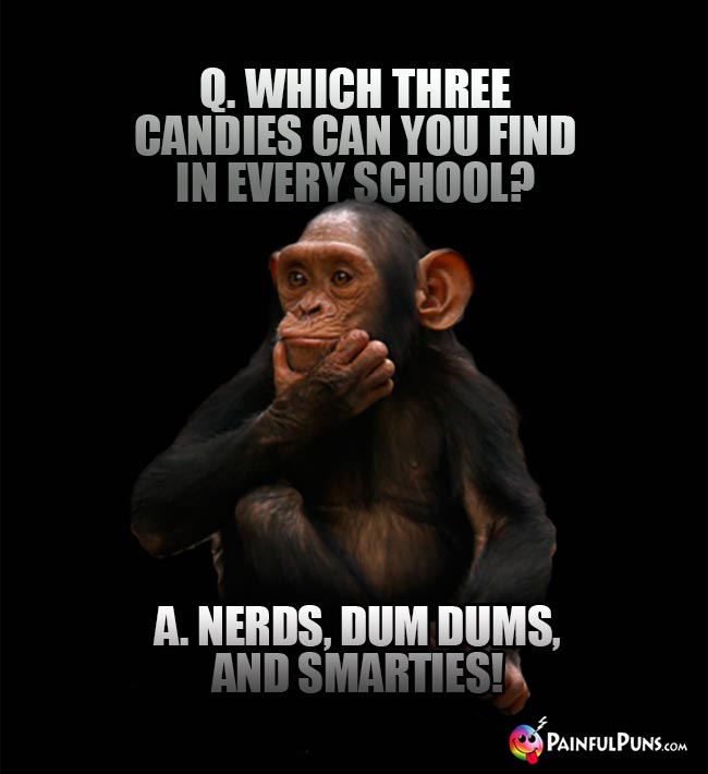 Q. Which three candies can you find in every school? A. Nerds, Dum Dums, and Smarties!
