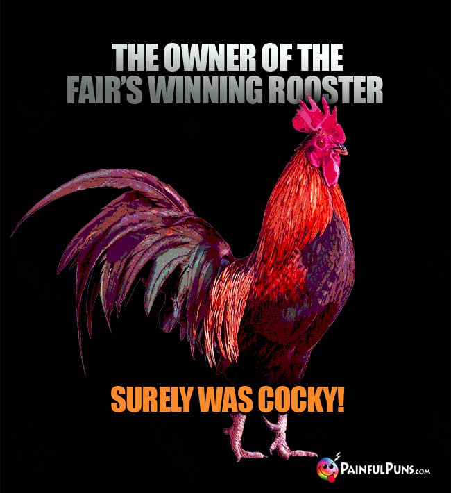 The owner of the fair's winning rooster surely was cocky!
