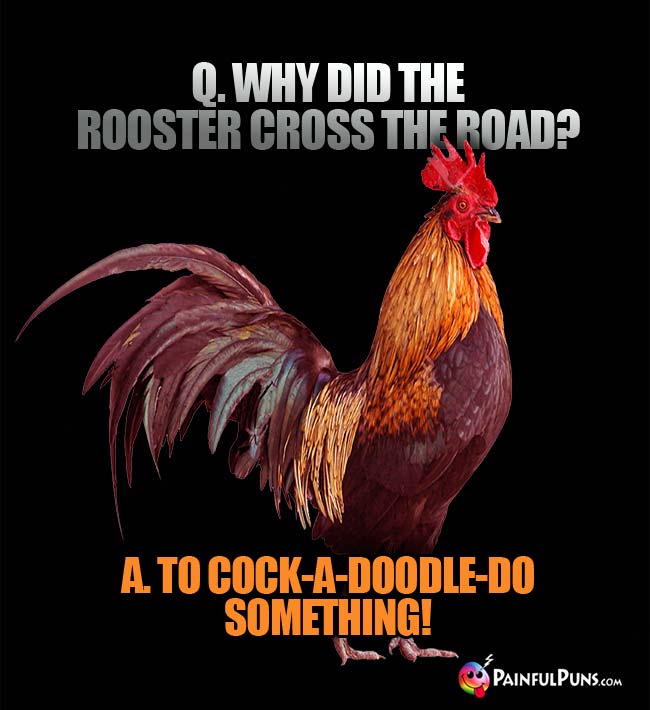 Q. Why did the rooster cross the road? A. To cock-a-doodle-do something!