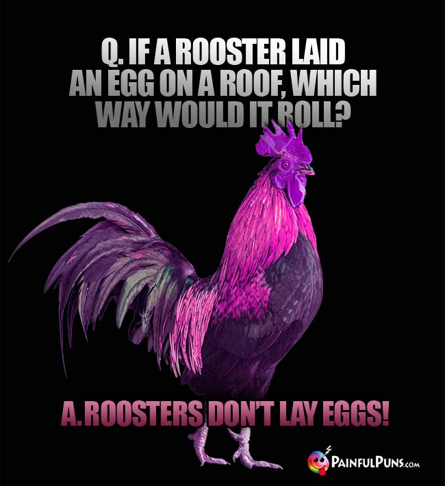 Q If a rooster laid an egg on a roof, which way would it roll? A. Roosters don't lay eggs!