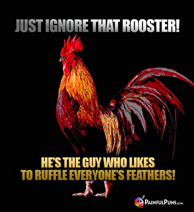 Just ignore that rooster! He's the guy who likes to ruffle everyone's feathers!