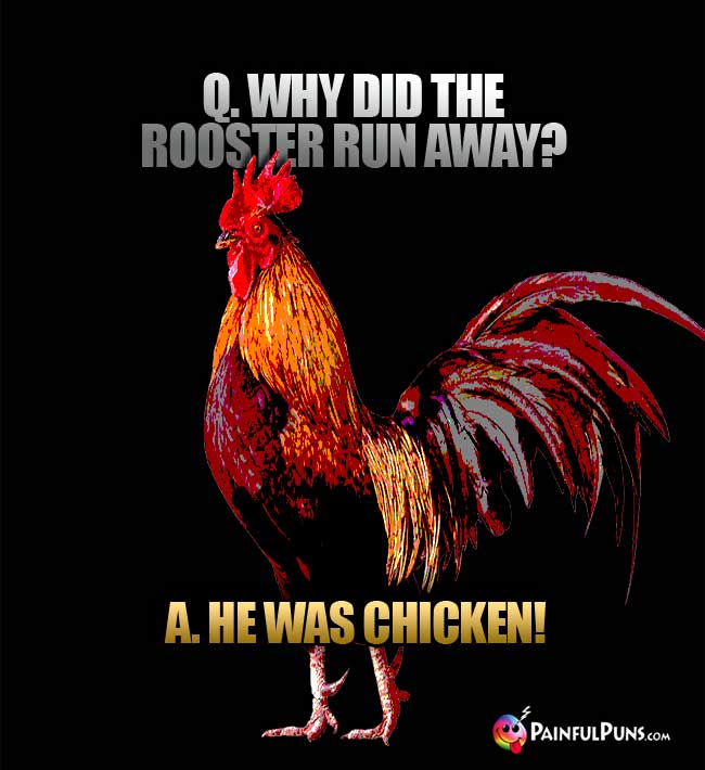 Q. Why did the rooster run away? A. He was chicken!