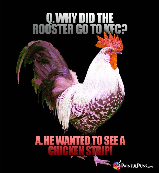 Q. Why did the rooster go to KFC? A. He wanted to see a chcken strip!