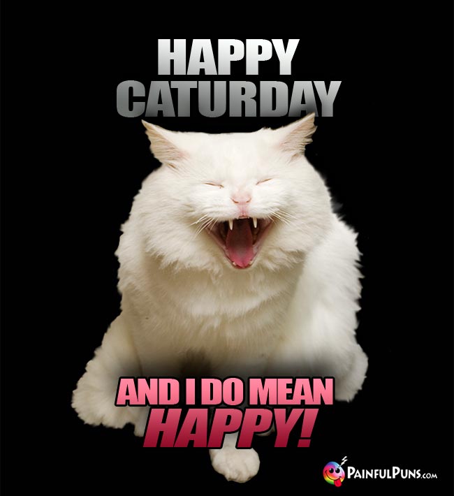 Laughing cat says: Happy Daturday, and I do mean Happy!