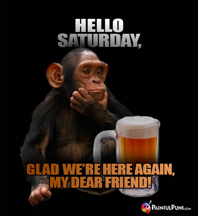Beer Drinking Chimp Says: Hello Saturday, glad we're here again, my dear friend!