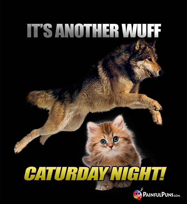 Wolf jumping over kitten: It's Another Wuff Caturday Night!