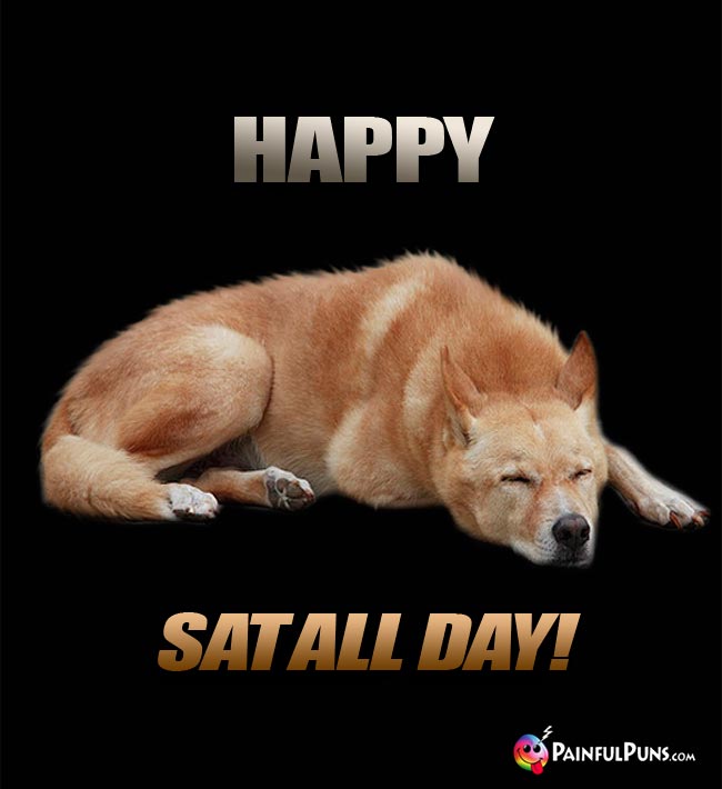 Big lazy dog says: Happy Sat All Day!