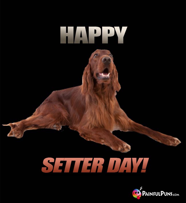 Irish Setter Says: Happy Setter Day!