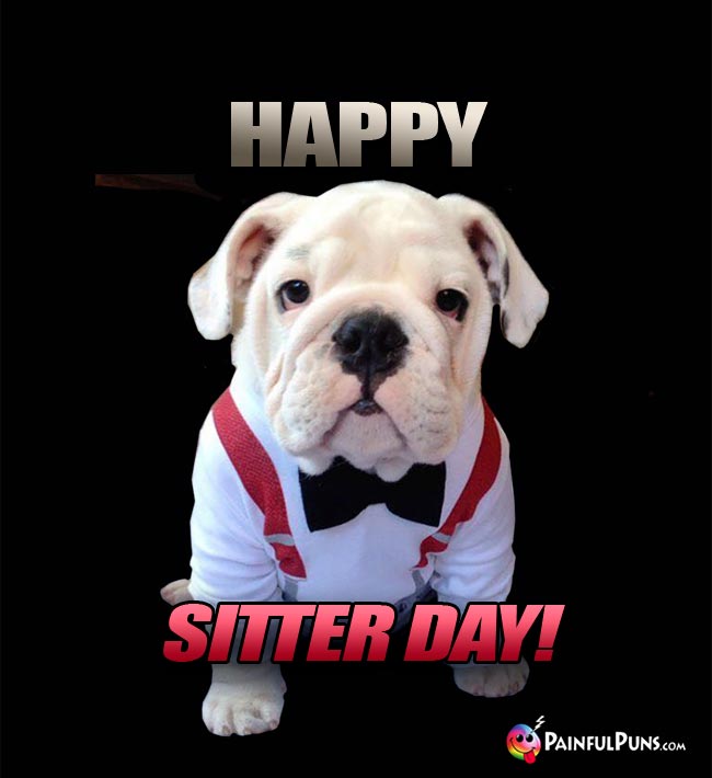 Well-Mannered Dog Says: Happy Sitter Day!