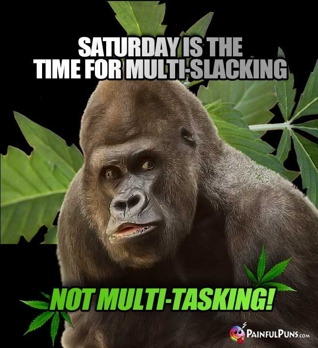 Pothead Gorilla Says: Saturday is the time for multi-slacking, not multi-tasking!