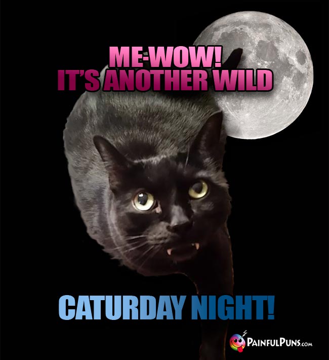 Black cat under the moon says: Me-Wow! It's Another Wild Caturday Night!