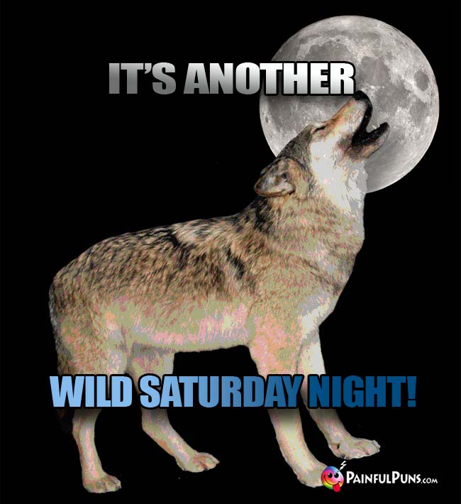 Howling Wolf Says: It's Another Wild Saturday Night!