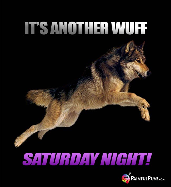 Wolf Says: It's Another WUFF Saturday Night!