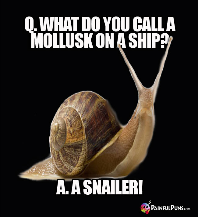 Q. What do you call a mollusk on a ship? A. A Snailer!