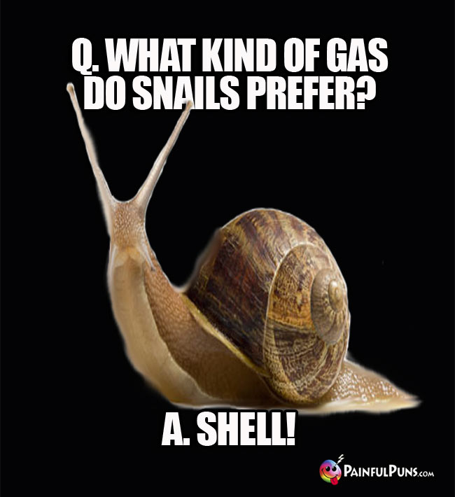 Q. What kind of gas do snails prefer? A. Shell!