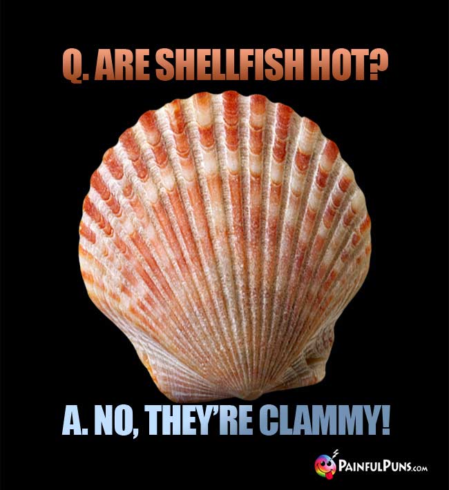 Q. Are shellfish hot? A. No, they're clammy!