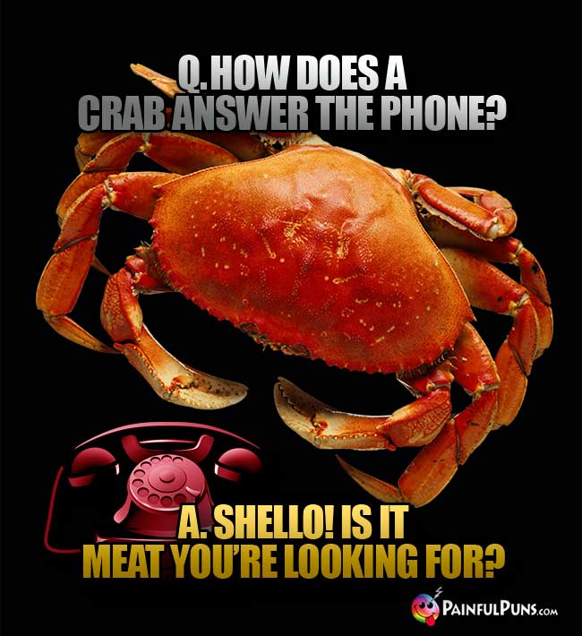 Q. How does a crab answer the phone? A. Shello! Is it meat you're looking for?