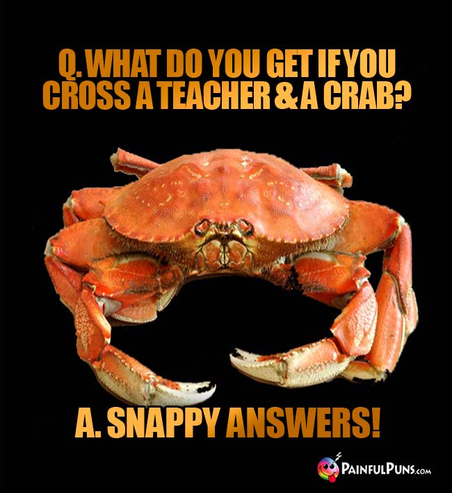 Q. What do you get if you cross a teacher and a crab? A. Snappy answers!