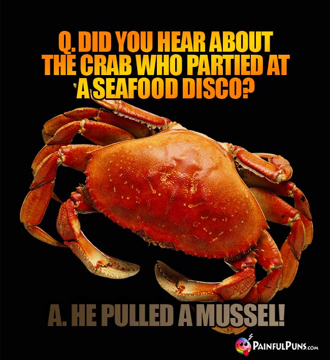 Q. Did you hear about the crab who partied at a seafood disco? A. He pulled a mussel!