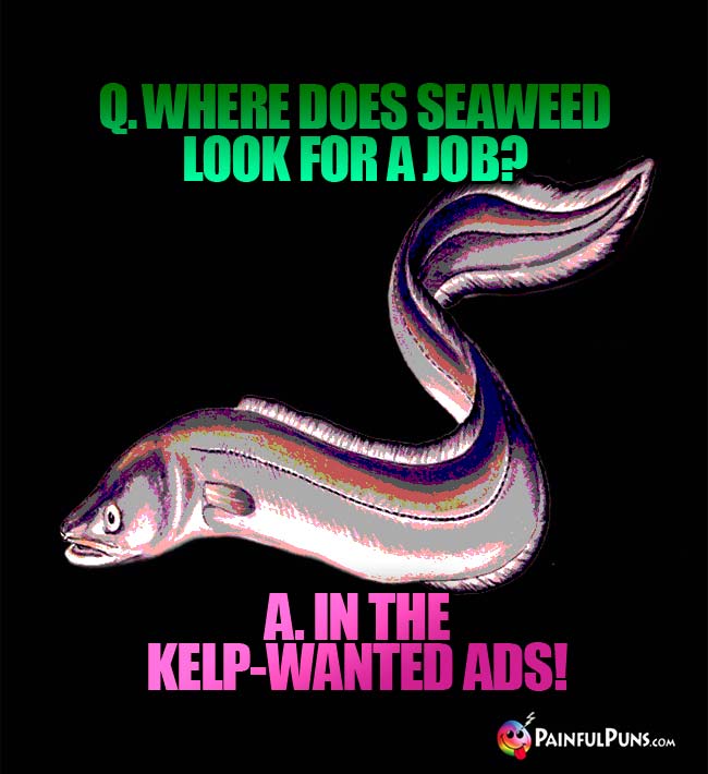 Q. Where does seaweed look for a job? A. In the kelp-wanted ads!