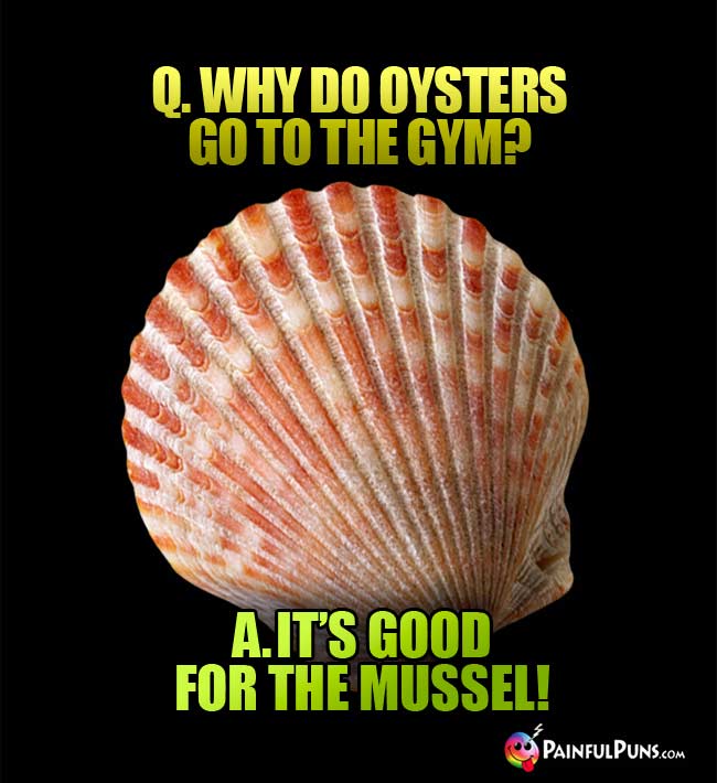 Q. Why do oysters go to the gym? A. It's good for the mussel!