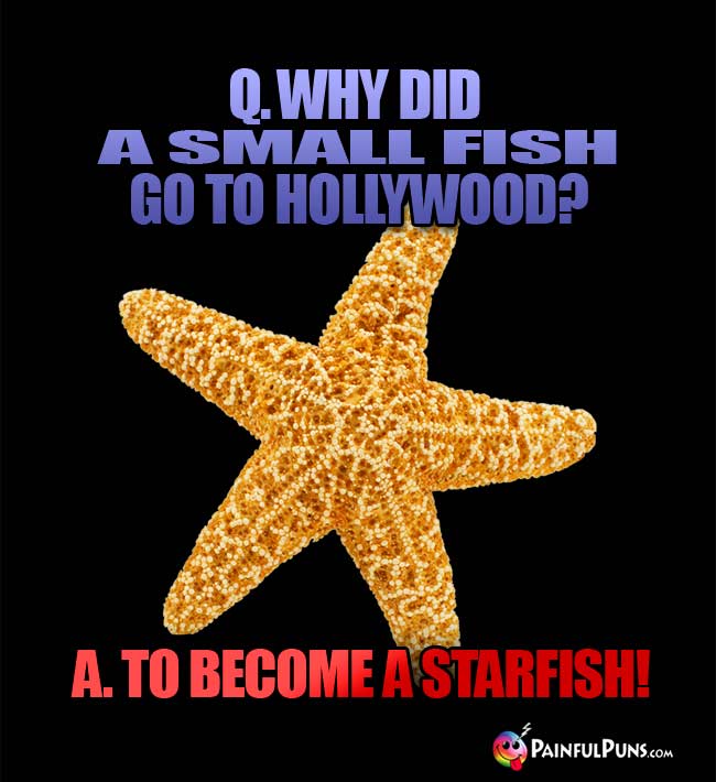 Q. Why did a small fish go to Hollywood? A. To become a starfish!
