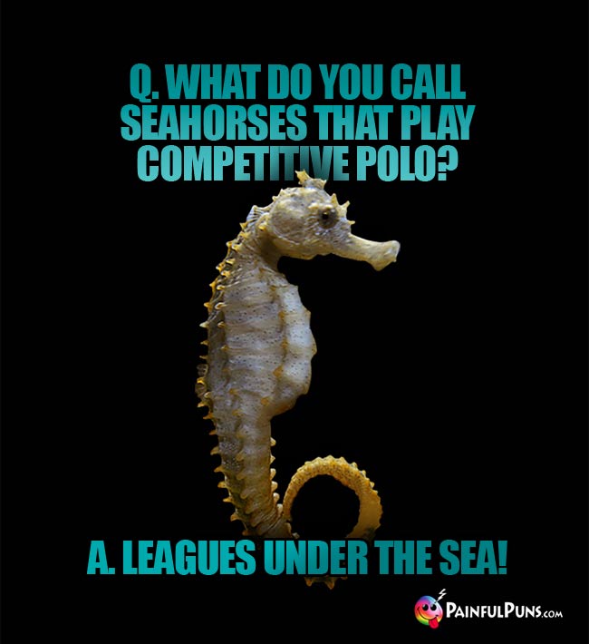 Q. What do you call seahorses that play competitive polo? A Leagues under the sea!