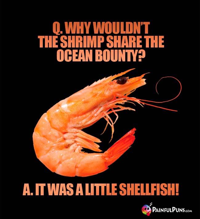 Q. Why wouldn't the shrimp share the ocean bounty? A. It was a little shellfish!