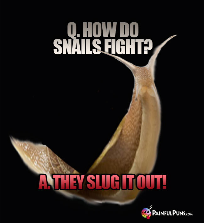 Q. How do snails fight? A. They slug it out!