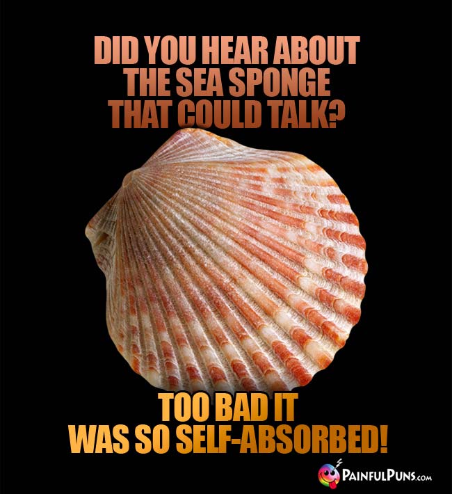 Q. Did you hear about the sea sponge that could talk? A. Too bad it was so self-absorbed!