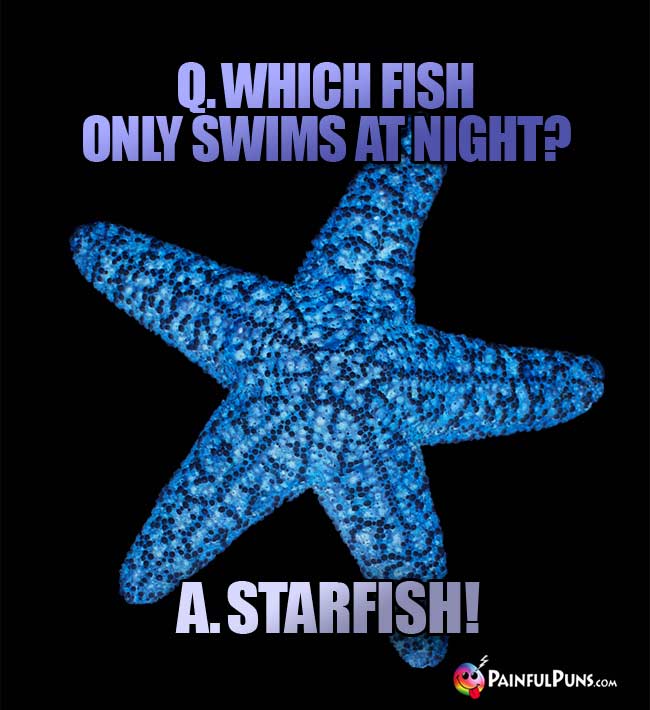 Q. Which fish only swims at night? A. Starfish!