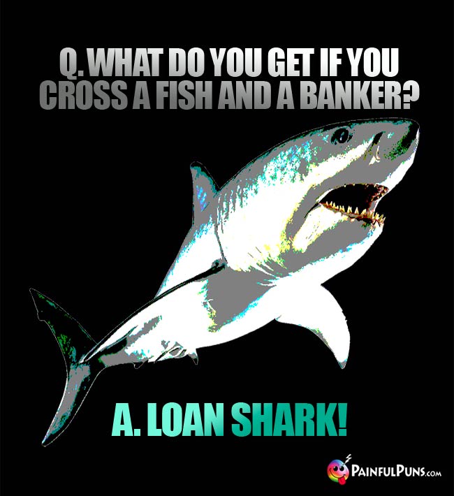 Q. What do you get if you cross a fish and a banker? A. Loan Shark!